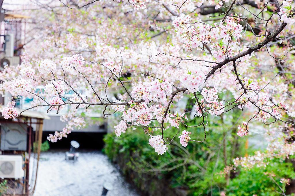 Villa Kumomachiya Takasegawa à Kyoto Extérieur photo